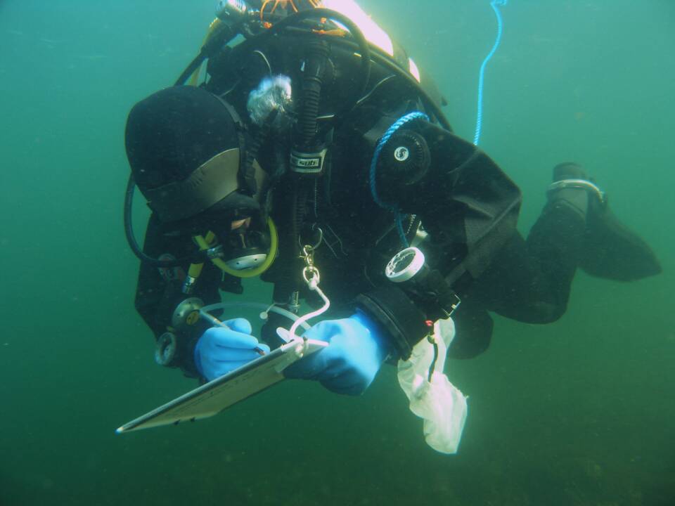 Diver writing underwater.