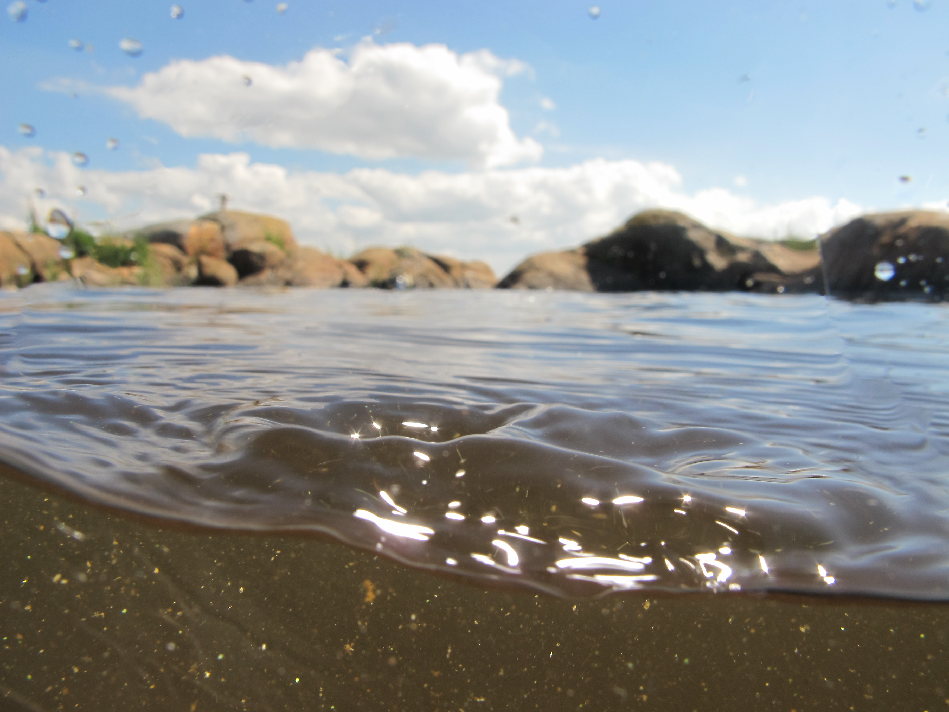 Solid particles of sinking matter can be distinguished below the water surface.
