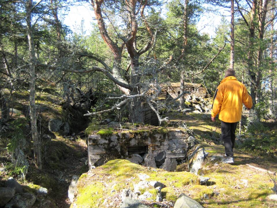Henkilö kävelee vanhojen linnanraunioiden reunalla metsässä.