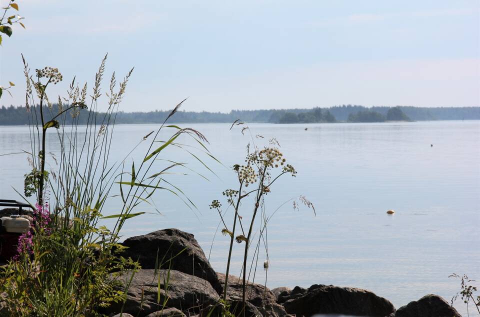 Etualalla lohkareiden välissä kasvavia heiniä ja putkia, taustalla täysin tyyni meri ja horisontissa puustoisia saaria ja/tai mannerta.