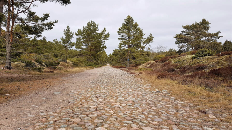 Pyöreillä kivillä päällystetty leveä tie johtaa puiden ja kallioiden väliin.