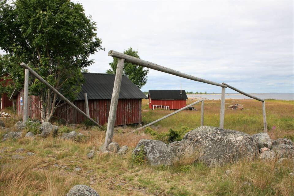 Punaisia puurakennuksia kivikkoisella rantaniityllä, etualalla harmaantuneista tukeista rakennettuja telineitä kivikasoihin pystyyn pönkitettyinä.