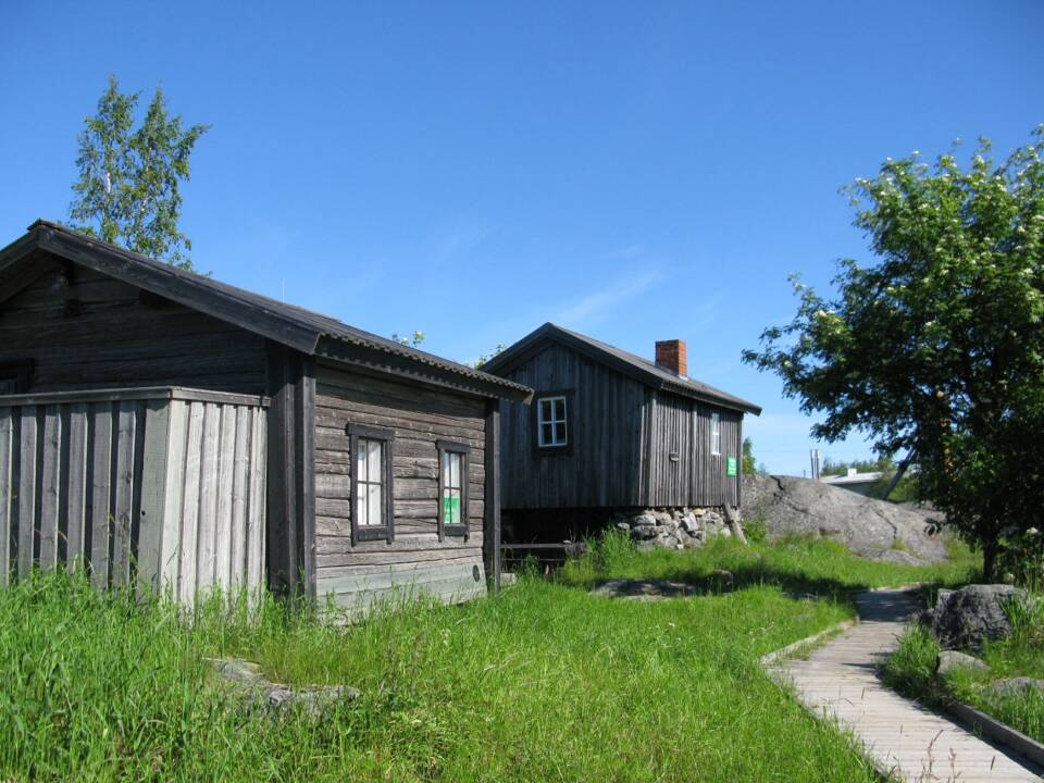 Harmaantuneita puumökkejä aurinkoisessa kesäsäässä vihreällä nurmella.