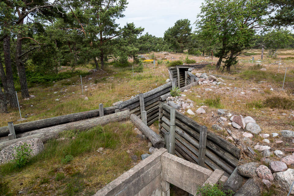 Puulla vahvistettuja juoksuhautoja (katottomia tunneleita) nummimaastossa, muutamia puita.