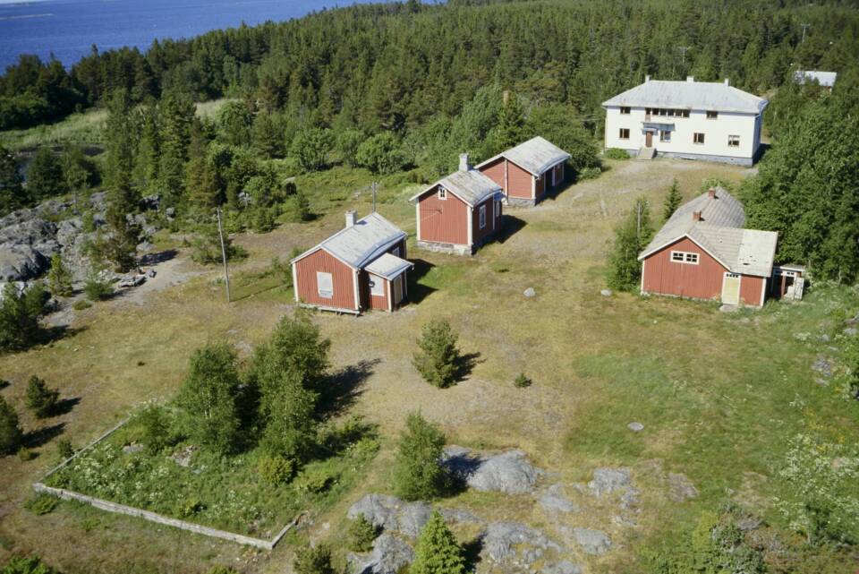 Kuva taloihin ja metsään ylähääntäpäin, taustalla meri.