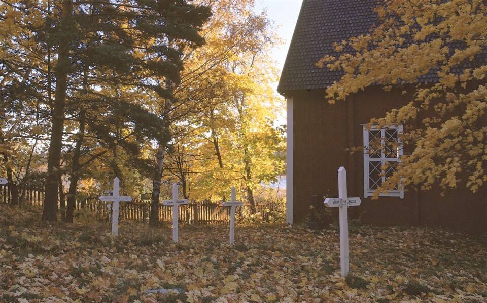 Valkoisia puisia ristejä pystytettynä puusta pudonneiden keltaisten ruskalehtien keskelle maahan, taustalla puita ja puisen kirkon kulma.