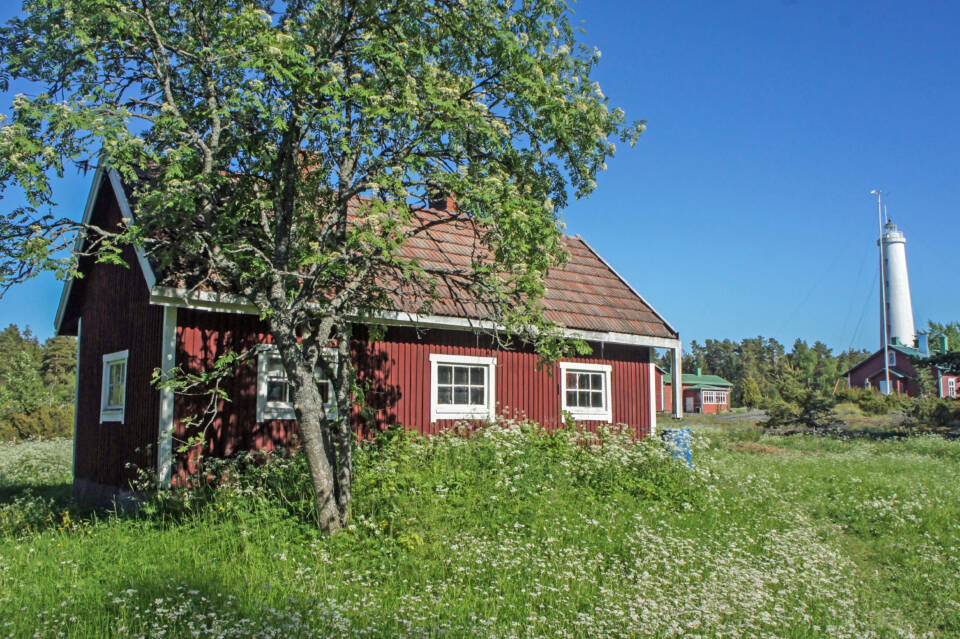 Puumökki lehtipuun katveessa, taustalla majakka.