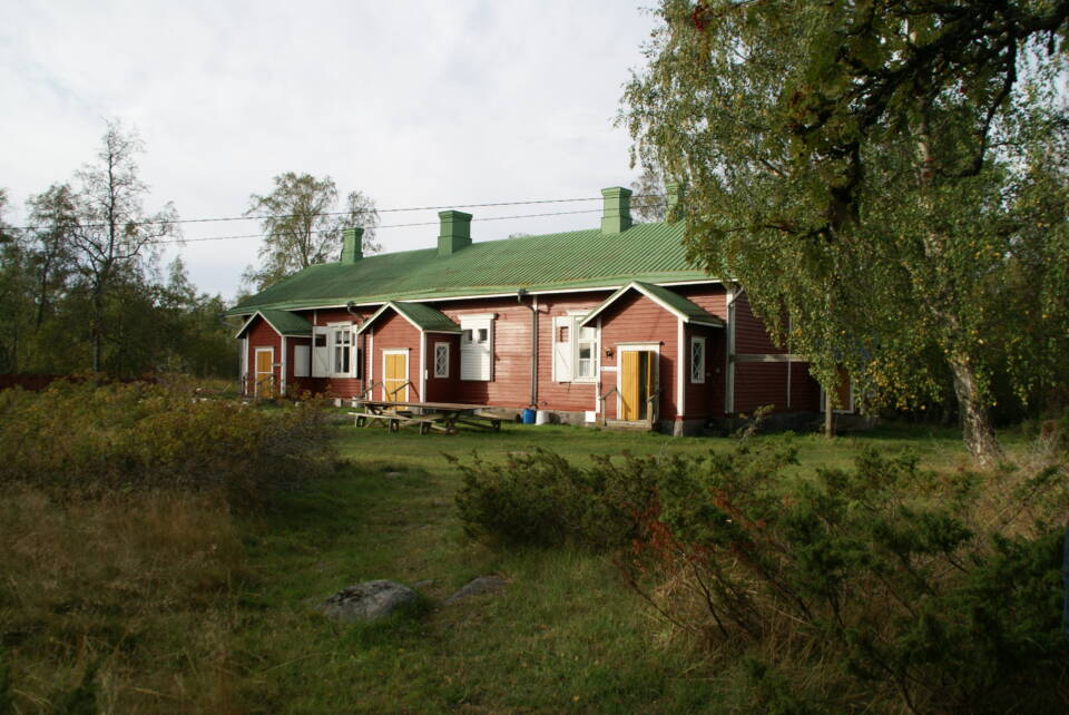 Matala, pitkä puurakennus koivujen vieressä nurmikkoisella niityllä.