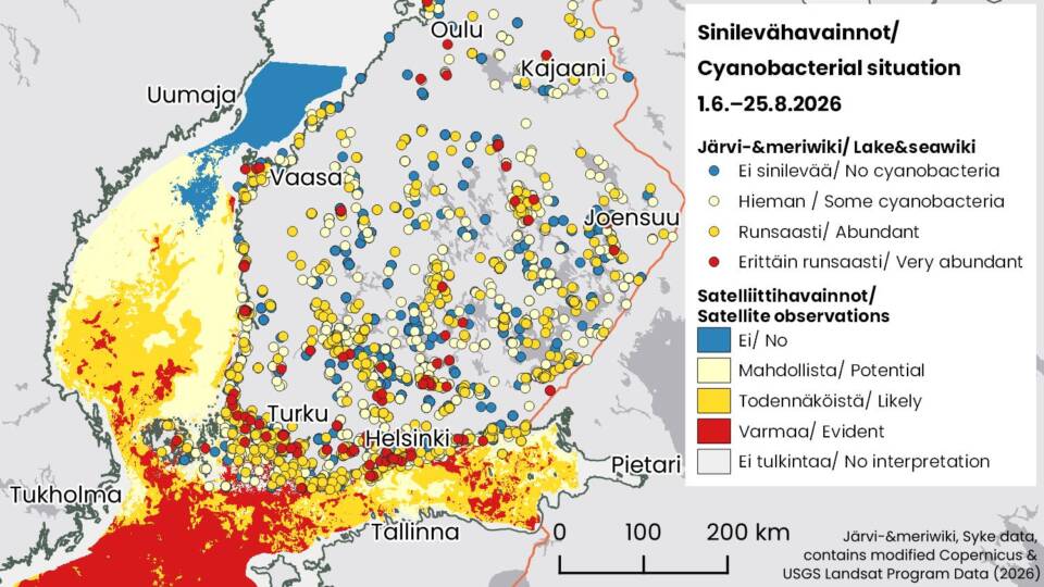 Kesän 2026 sinileväyhteenveto.